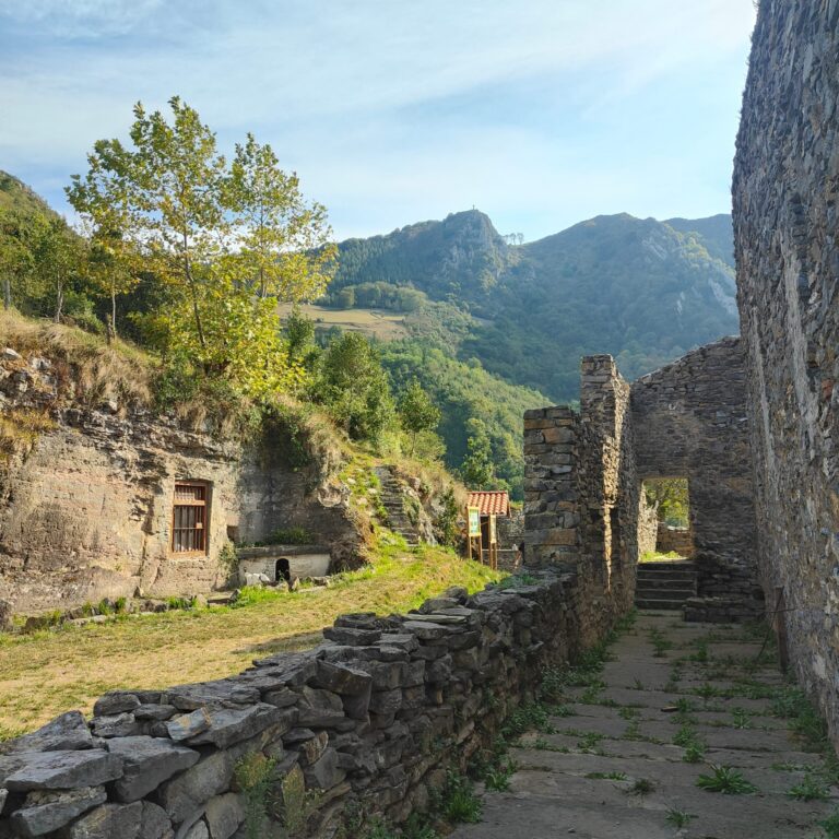 TolosaGaleria-0118